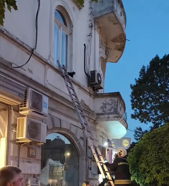 Пожарникари от ПБЗН – Варна по време на спасителна акция за изваждане на котката Али от трудно достъпно място в центъра на града.